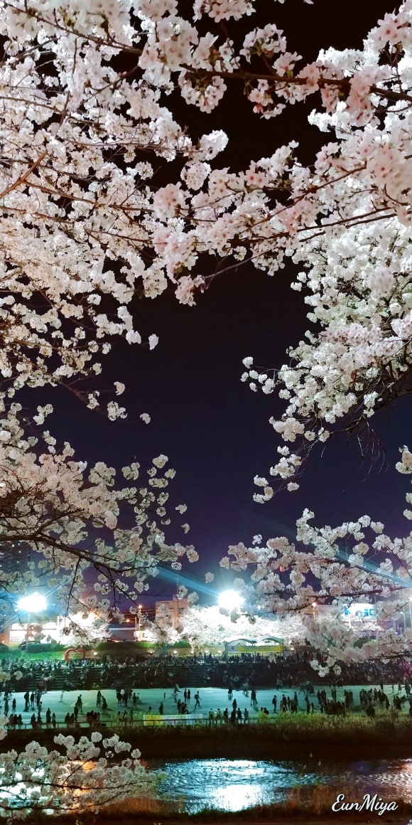 무심천 마트 이미지