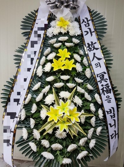 하나디씨 이미지