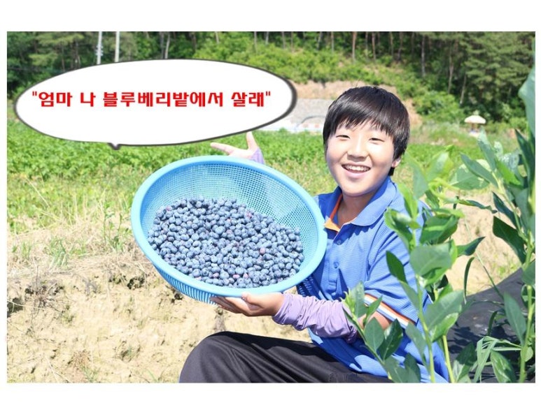 성의정 한과드림 이미지