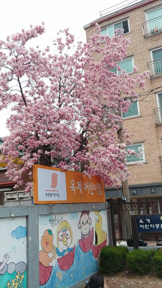 옥계어린이집 이미지
