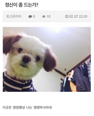 이공일팔 이미지