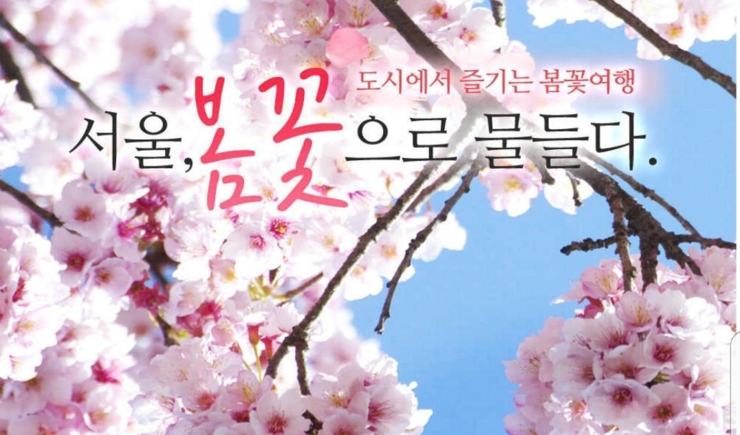우리;꽃 이미지