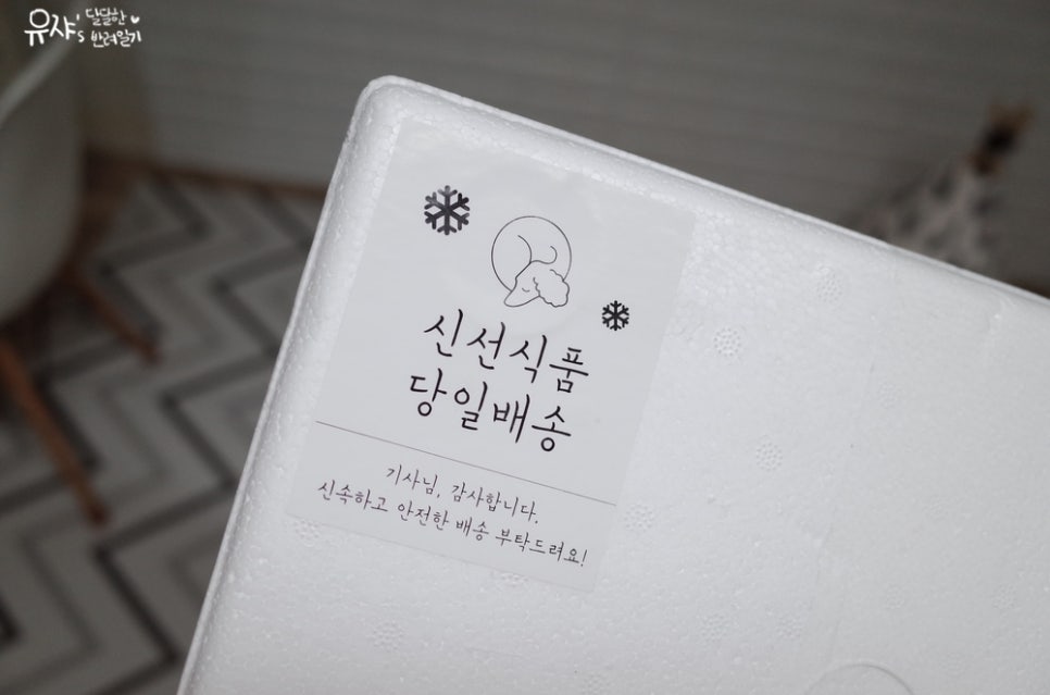 아이뚜리 이미지