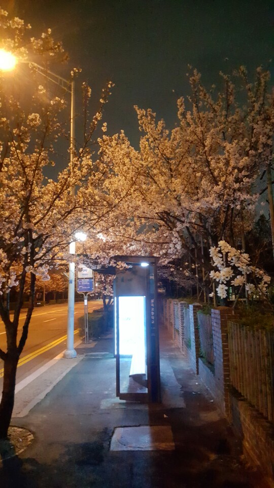 봄날목공소 이미지