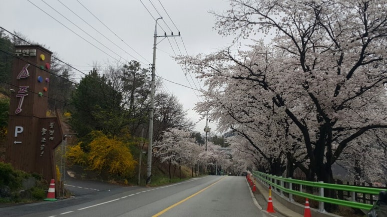 카페꼬레 이미지