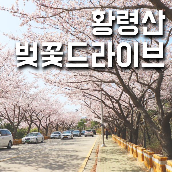 (주)이즈투어 이미지