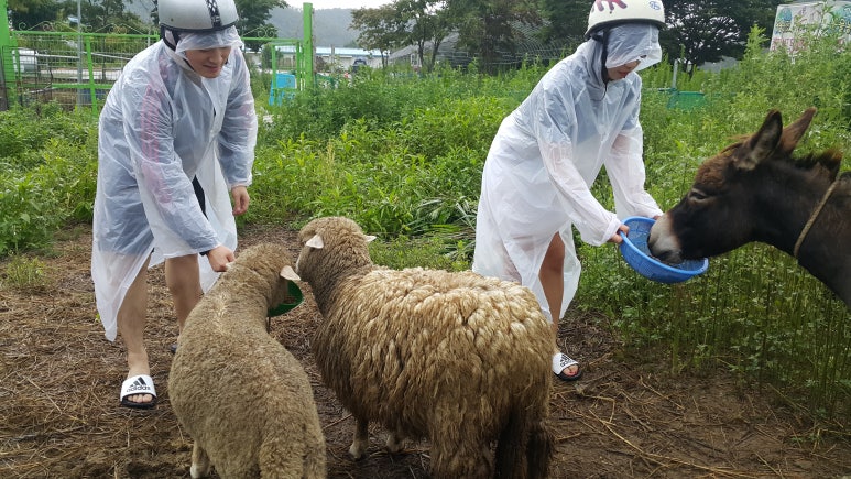 바이크비 이미지