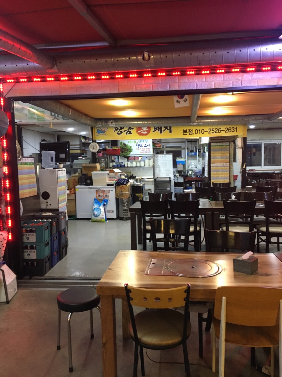 돈돼지 이미지