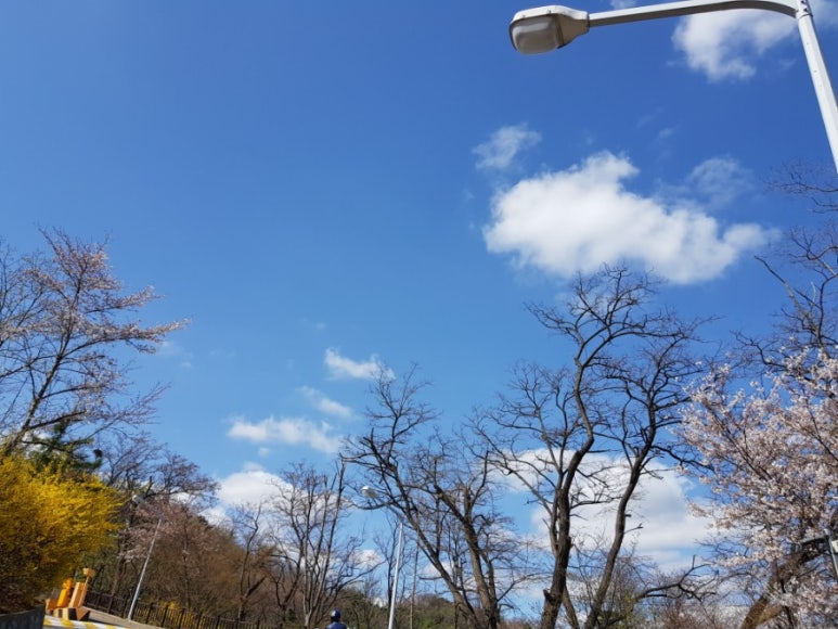에이치트레블 이미지