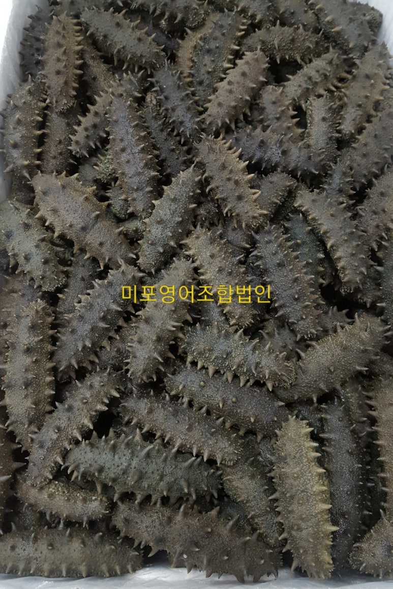 미포영어조합법인 이미지
