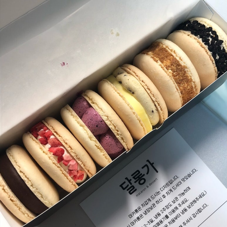 달롱가 이미지