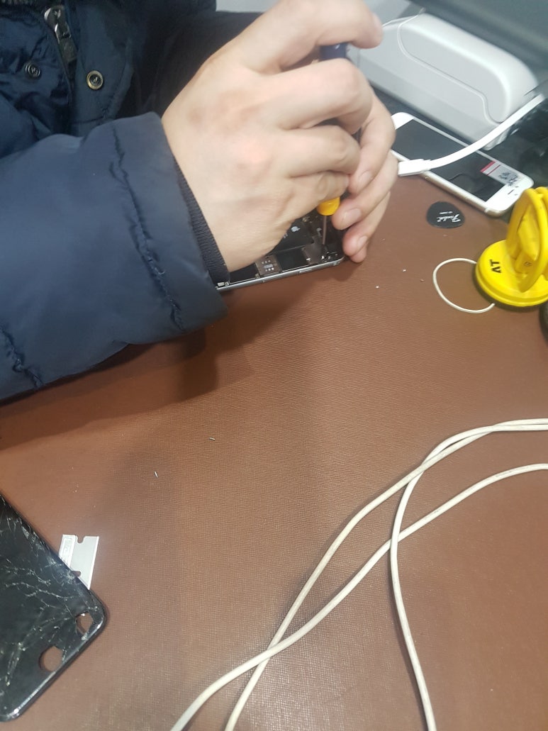 다판다 이미지