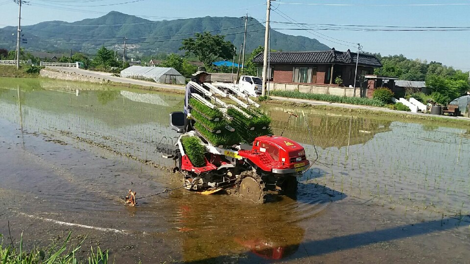 싱그런협동조합 이미지