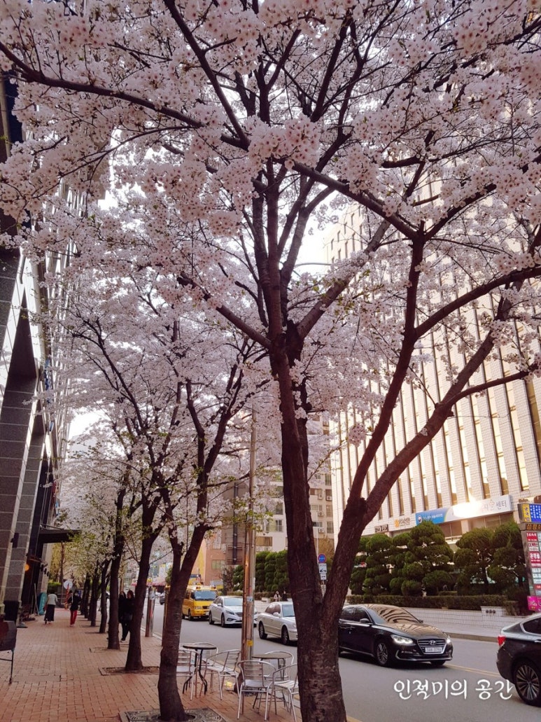 설빙마포공덕점 이미지
