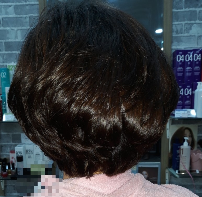 자르세헤어 이미지