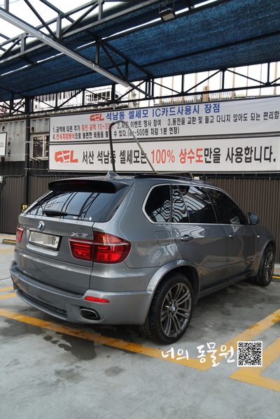 서산셀세모 이미지