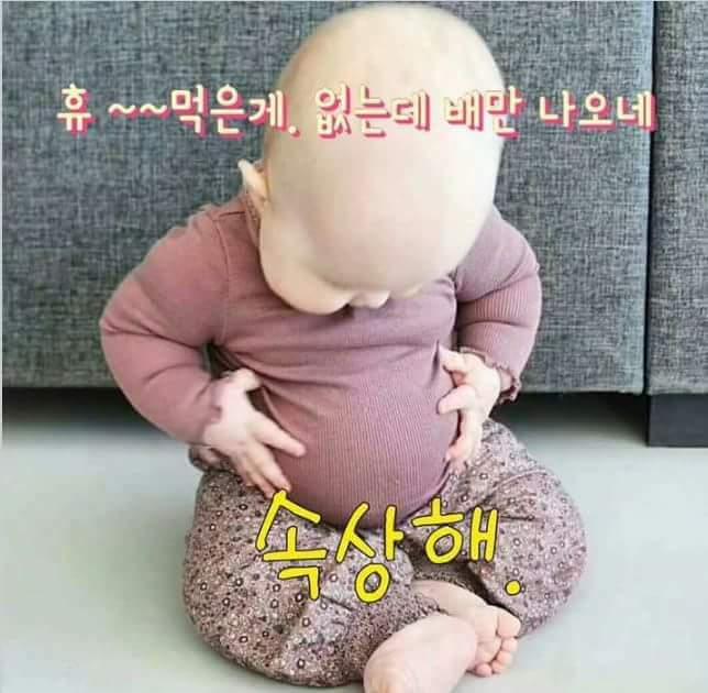 한우한마당 이미지