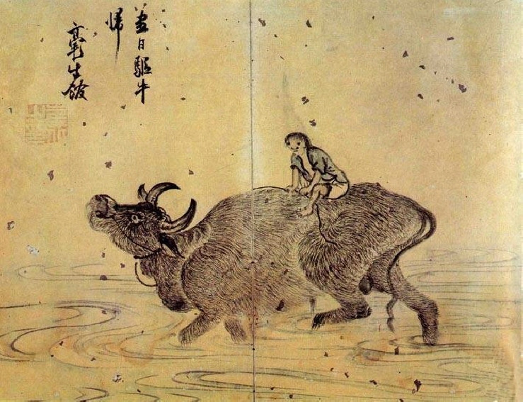 호산삼 이미지