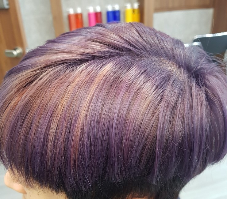 수원쿼츠 이미지