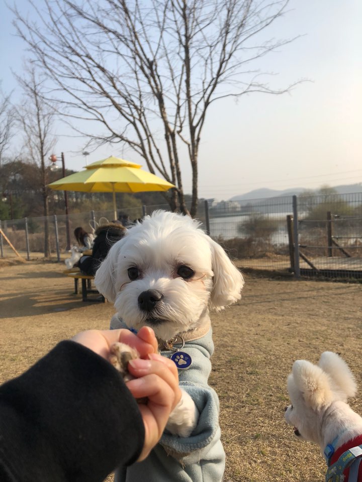 이루약손 이미지