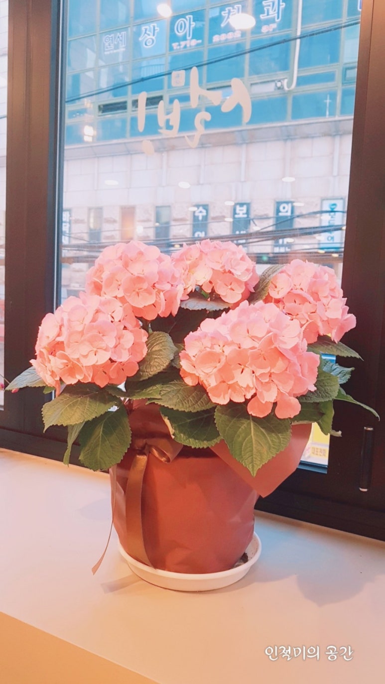 설빙마포공덕점 이미지