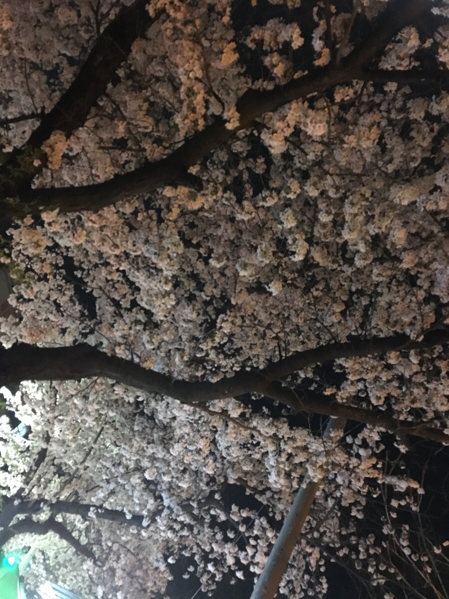 천냥하우스 이미지