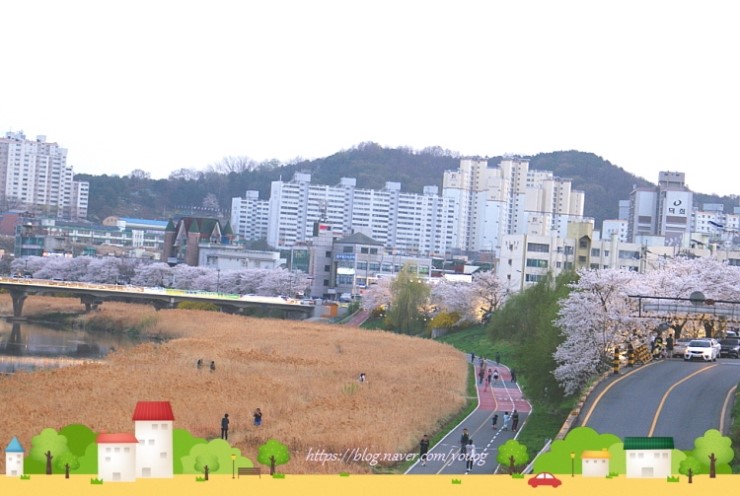 무심천 마트 이미지