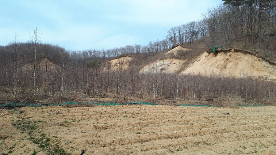 이수조경건설(주) 이미지