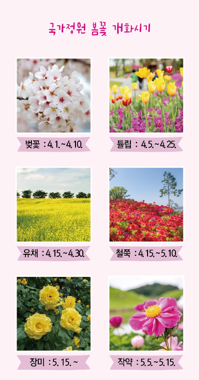 정원매점 이미지