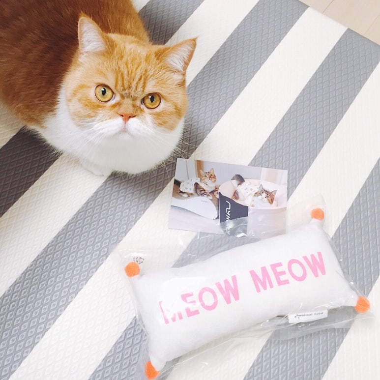 미유컴퍼니 이미지