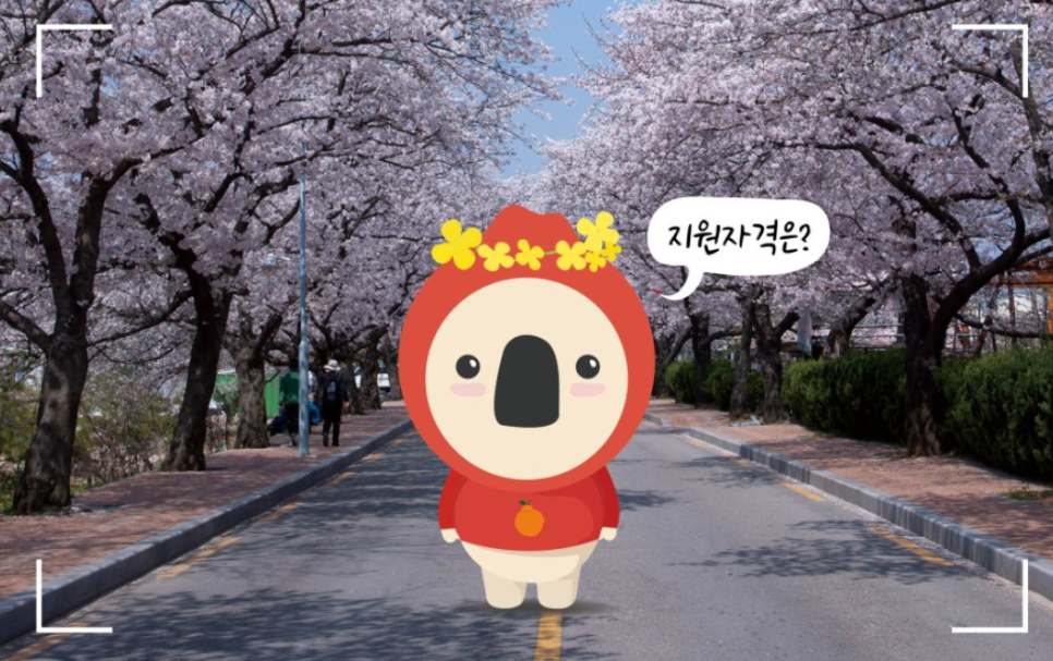 오즈렌터카 이미지