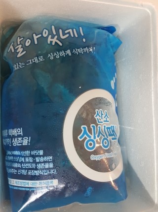 큰손참전복 이미지