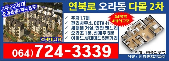 다몰2 이미지