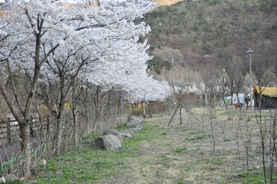 오글오글오토캠핑장 이미지