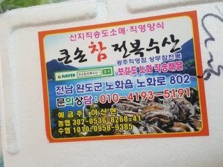큰손참전복 이미지