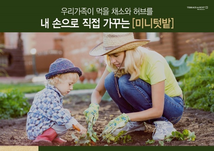 더모스트 이미지