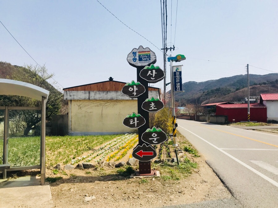 우리산약초 이미지