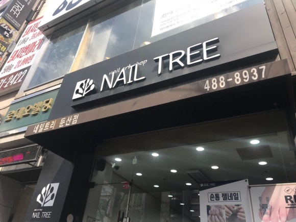 네일트리 이미지