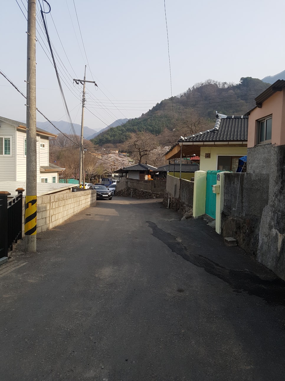 두대문 이미지