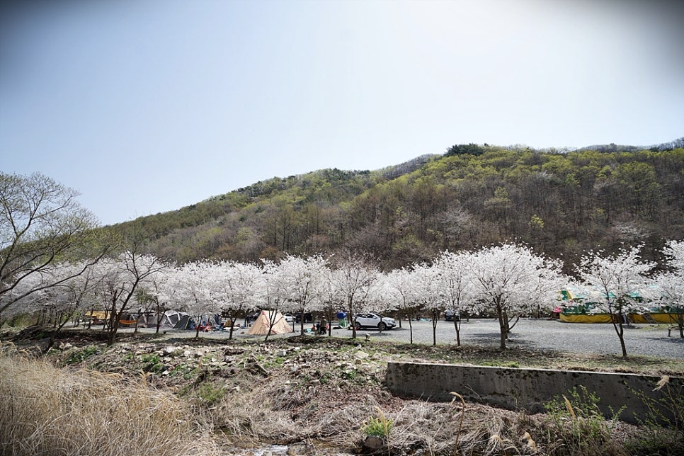 곤달비캠프 이미지