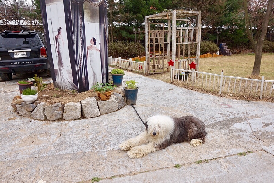스튜디오라자 이미지