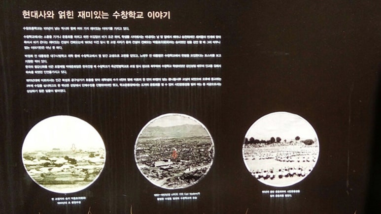 대구수창초등학교 이미지