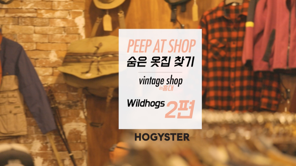 와일드혹스 이미지