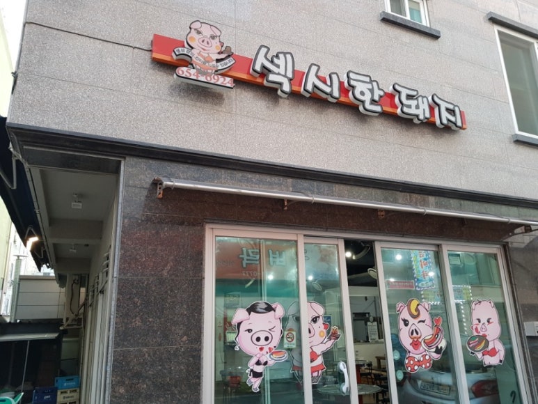 섹시한돼지 이미지