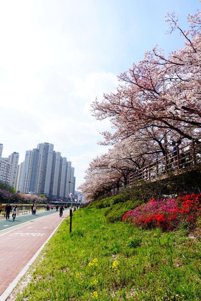 안락다락방 이미지