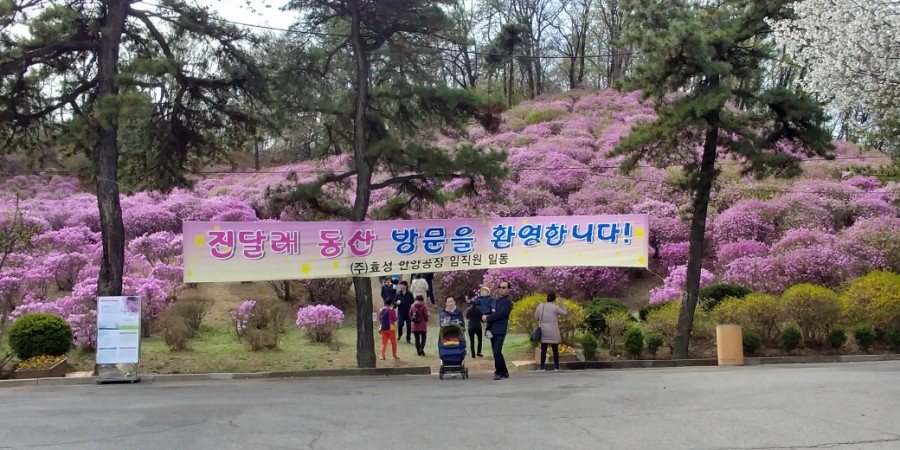 (주)효성 안양공장 이미지