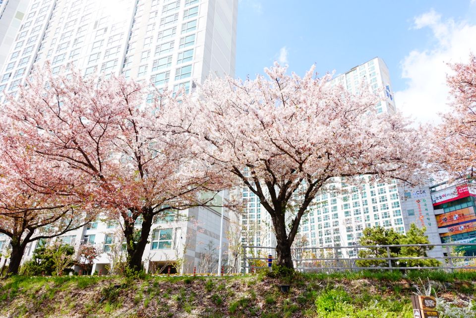 안락다락방 이미지