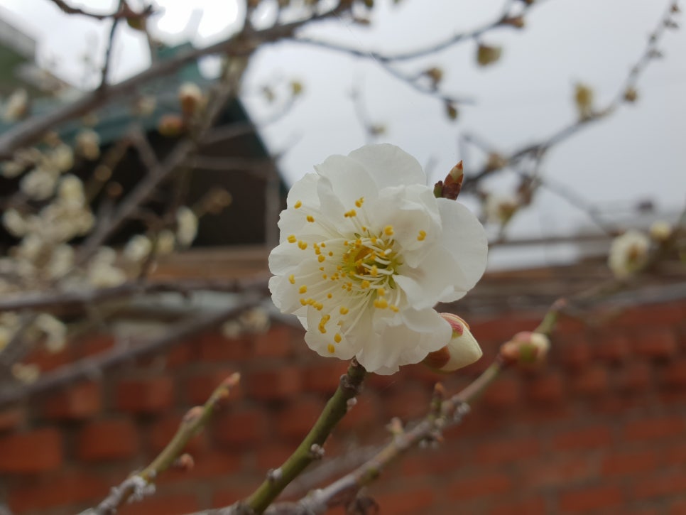 선창목포수산 이미지