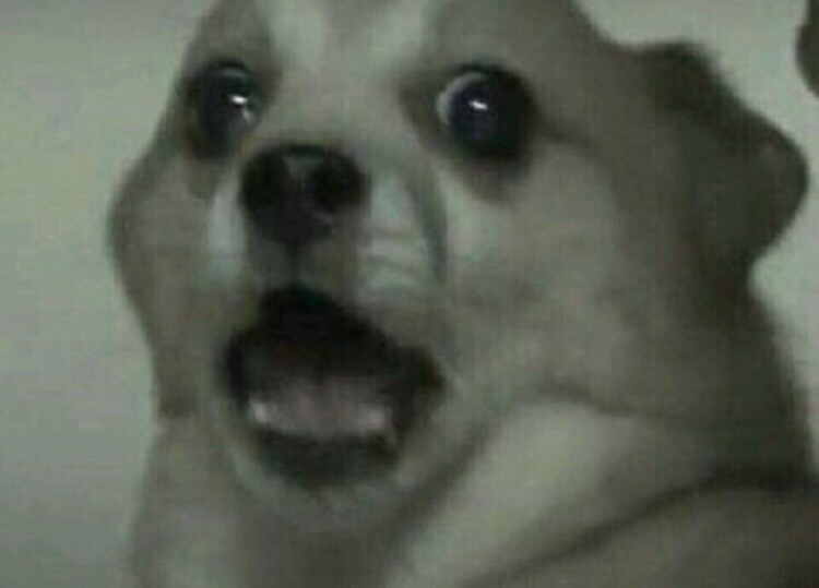 카페247 이미지
