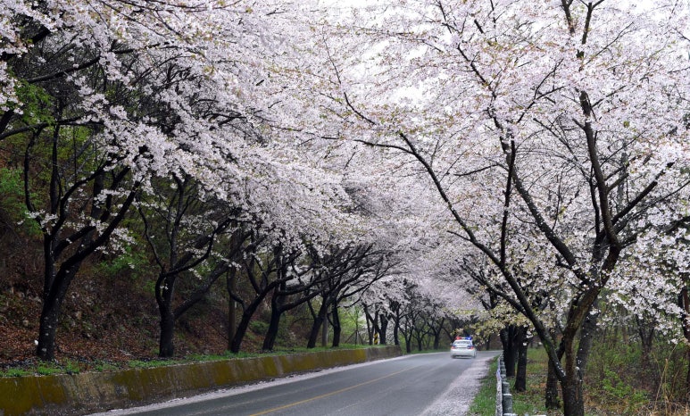 남도바다 이미지
